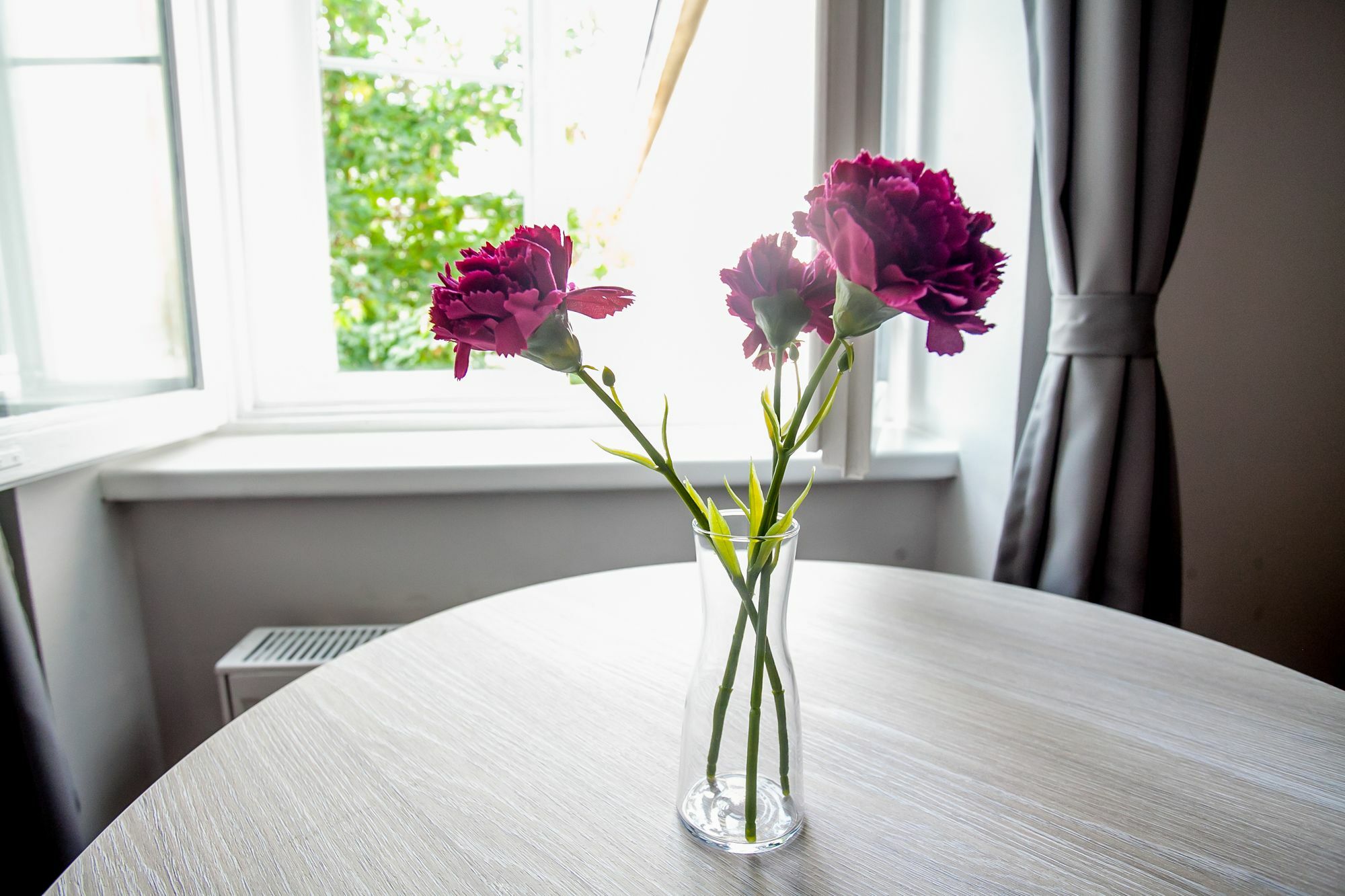 Zagreb City Vibe Apartments & Rooms Exterior foto